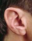 Profile photo of a CIC hearing aid